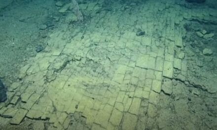 Scientists Found a ‘Yellow Brick Road’ at The Bottom of The Pacific Ocean