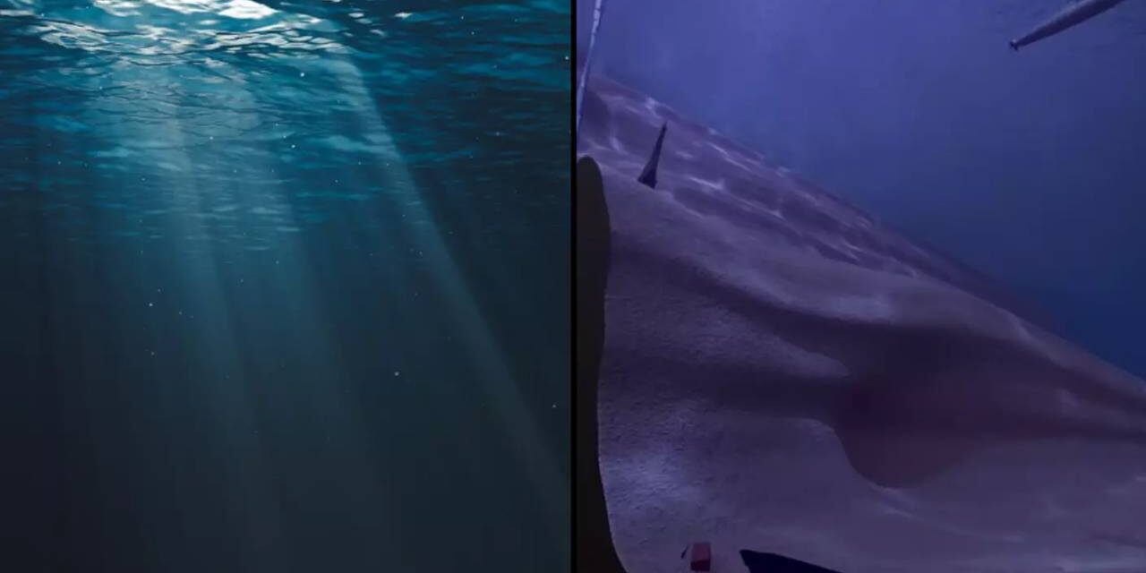 Terrifying simulation ‘unlocks new fear’ in people after showing reality of how deep the ocean is