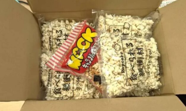 Company Sells Bags of Popcorn as Edible Cushioning Material