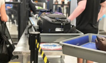 TSA reveals top unusual finds at airport security checkpoints in 2024