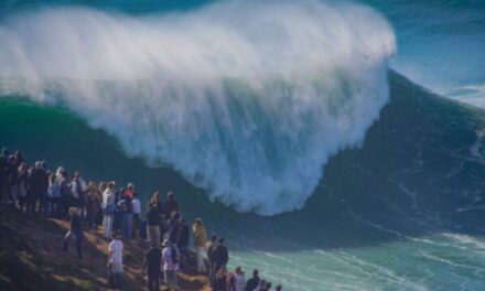 A Gigantic Wave in The Pacific Ocean Was The Most Extreme ‘Rogue Wave’ on Record