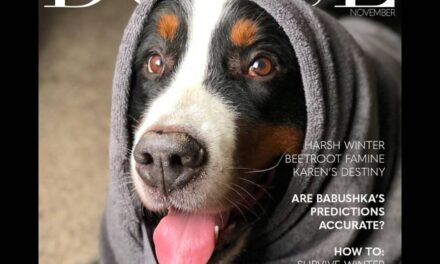 40 Hilarious And Heartwarming Pics Of Dogs Modeling Cutting-Edge Pet Styles