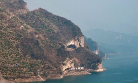 Man’s Vacation Photo Turns Chinese Riverside Into ‘Puppy Mountain’