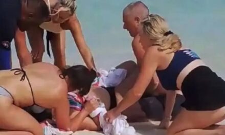 Woman Loses Both Hands Trying to “Interract” with Shark on Caribbean Beach