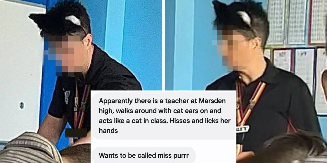 High School Teacher Allegedly Identifies as Cat, Growls at Students