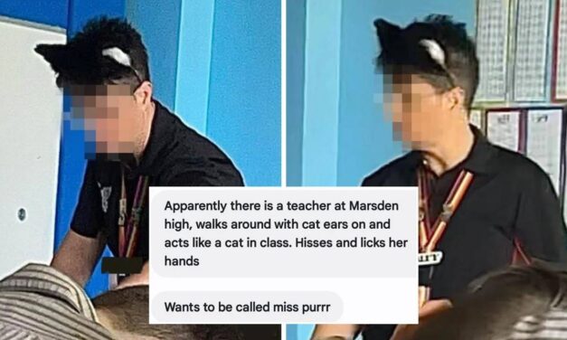 High School Teacher Allegedly Identifies as Cat, Growls at Students