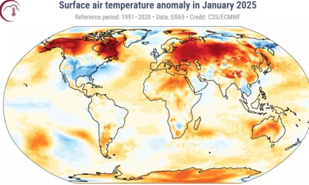 ‘Terrifying’ January Was Hottest in Recorded History, Say Scientists