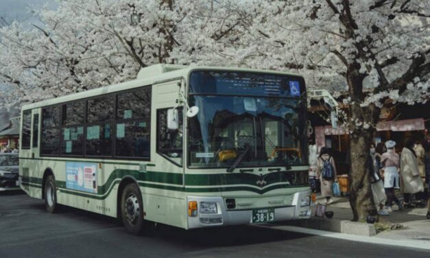 Bus Driver with Three Decades of Service Loses $84,000 Pension for Stealing $7