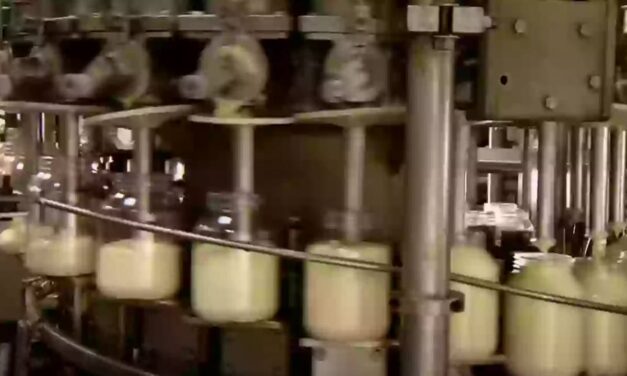People left ‘feeling sick’ after finding out how mayonnaise is really made