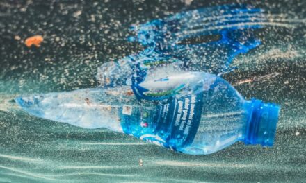 Researchers develop recyclable plastic that fully dissolves in the sea