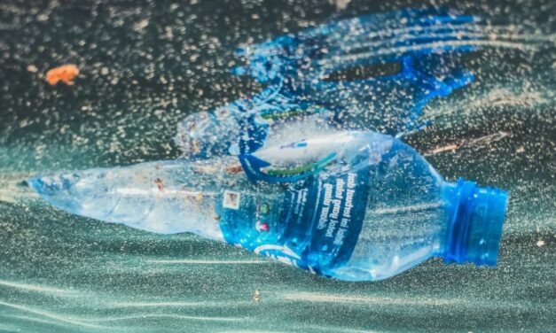 Researchers develop recyclable plastic that fully dissolves in the sea