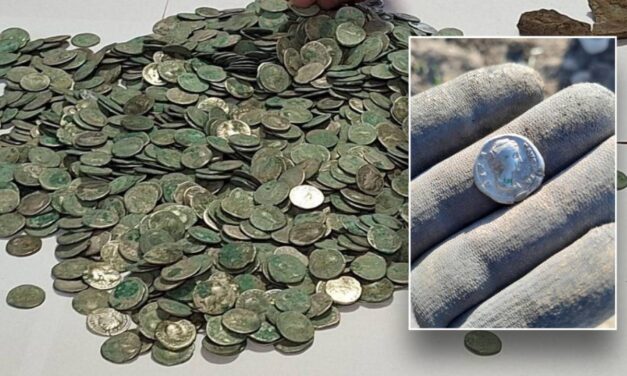 Man stumbles across hoard of priceless coins while out for nature walk: ‘Face to face with history’