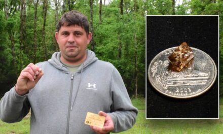 Man finds ‘candy-like’ diamond while exploring Arkansas state park: ‘Chance of a lifetime’