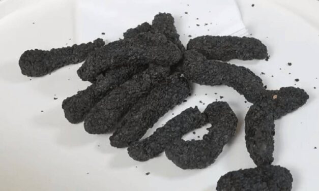 Fast-Food Restaurant Inspires Poop Jokes with Bizarre-Looking Menu Item