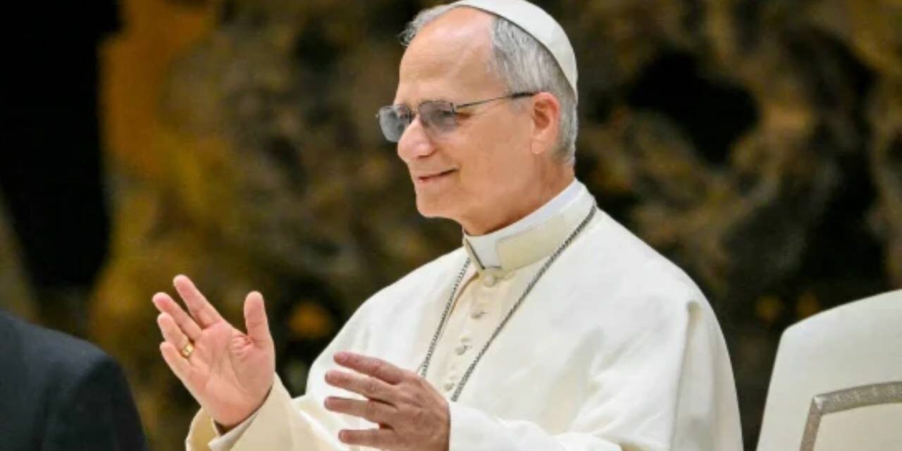 Pope Leo XIV Affirms Family Is Based on Union Between a Man and Woman, Unborn Has Inherent Dignity