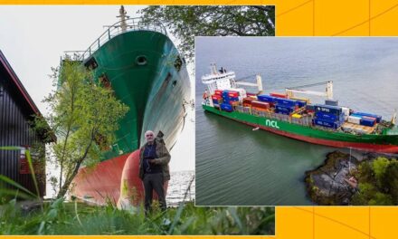 Man Alarmed to Find Ten Thousand Ton Cargo Ship Crashed Into the Garden Next to His House