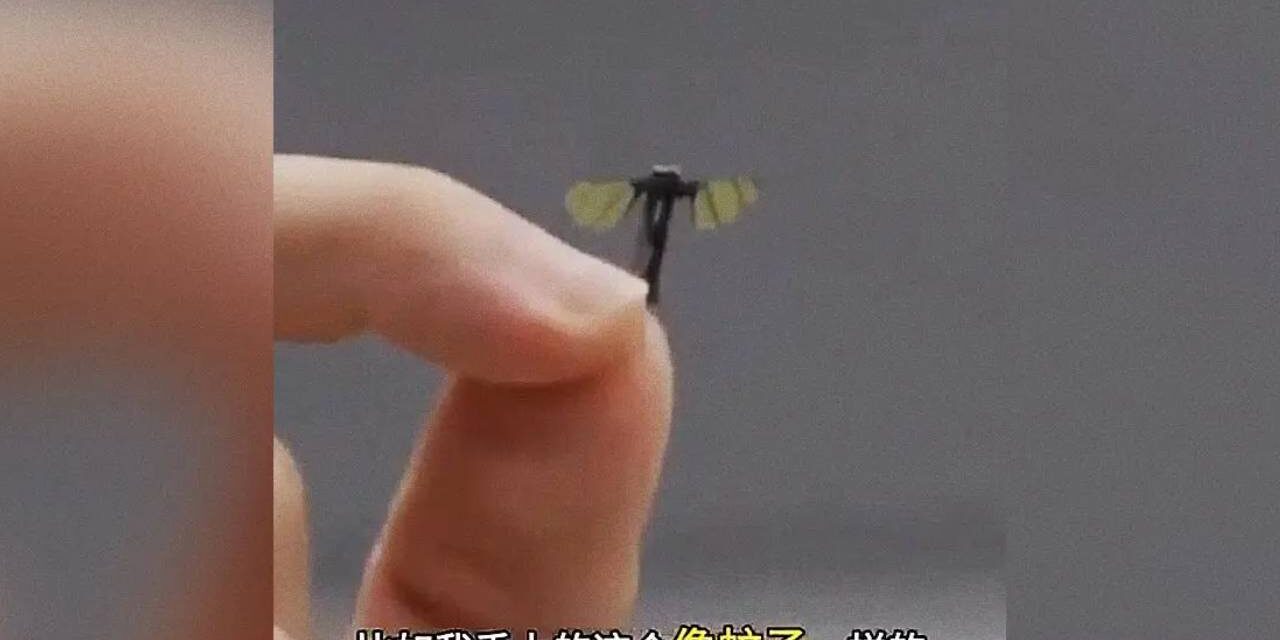 Chinese Military Shows Off Fly-Sized Drones for Covert Ops
