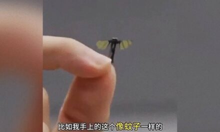 Chinese Military Shows Off Fly-Sized Drones for Covert Ops