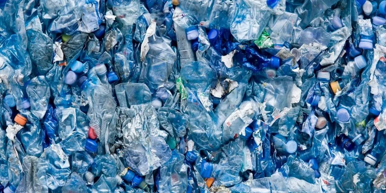 You’ll Be Flabbergasted to Learn Which Contains More Microplastics: Plastic Bottles or Glass Bottles