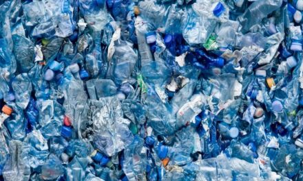 You’ll Be Flabbergasted to Learn Which Contains More Microplastics: Plastic Bottles or Glass Bottles