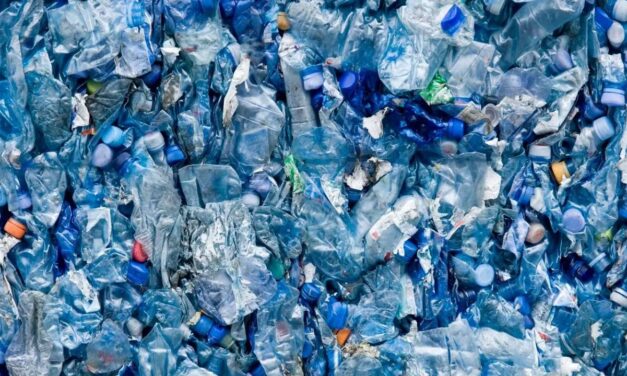 You’ll Be Flabbergasted to Learn Which Contains More Microplastics: Plastic Bottles or Glass Bottles