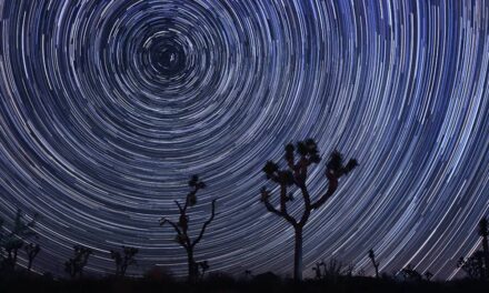 “Nobody Expected This”: Earth’s Rotation Will Speed Up In July And August, Bucking The Downward Trend
