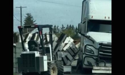 Millions of honeybees abuzz after truck overturns in Washington state