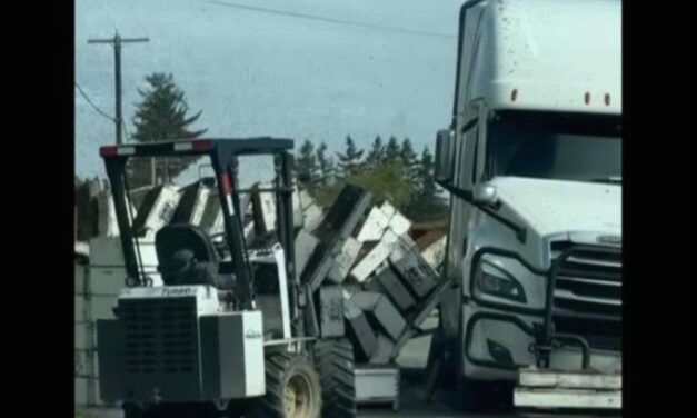 Millions of honeybees abuzz after truck overturns in Washington state
