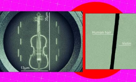 There’s a Huge Problem With Nanoscientists’ “World’s Smallest Violin”