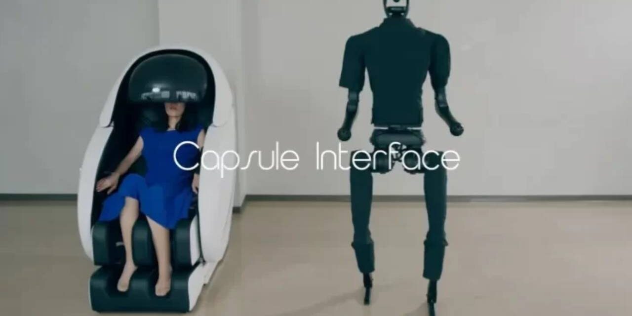 Avatar-Like Capsule Interface Allows Anyone to Control a Robot Remotely
