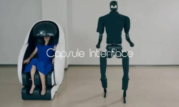 Avatar-Like Capsule Interface Allows Anyone to Control a Robot Remotely