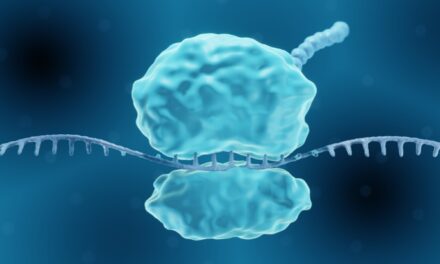Recreating a Rare Mutation Could Grant Almost Universal Virus Immunity For Days