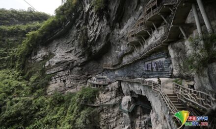 World’s Most Inaccessible Library Is Craved into the Side of a Cliff
