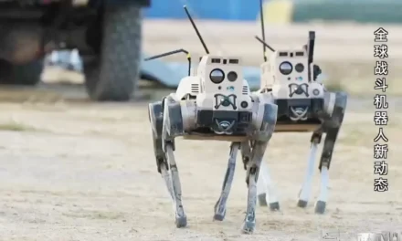 China Shows Off Armed Attack Robots