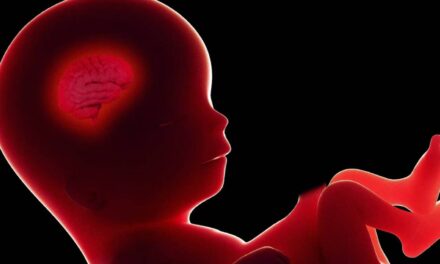 New IVF Startup Claims It Can Predict an Embryo’s IQ