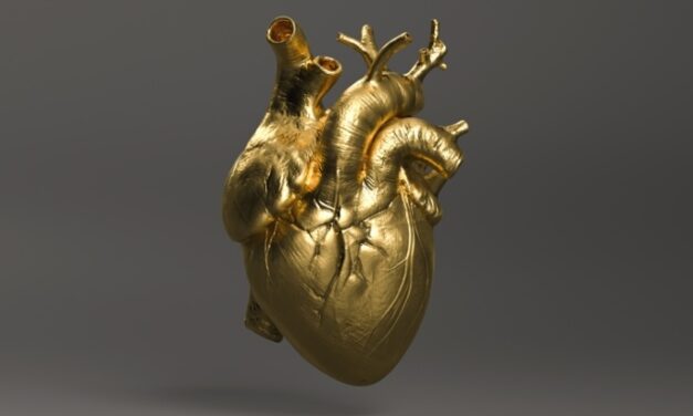 Your Heart Is Vulnerable. These 4 Things Will Help You Protect It.