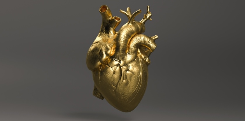 Your Heart Is Vulnerable. These 4 Things Will Help You Protect It.