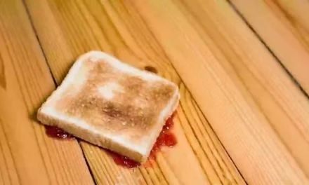 People horrified after learning truth behind ‘five-second rule’