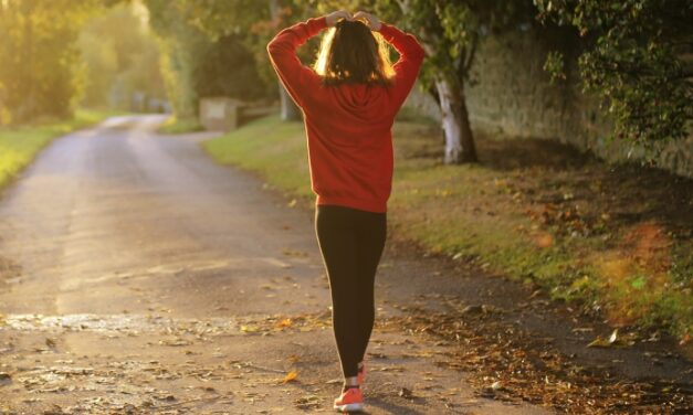 Zone Zero: The Surprising Health Benefits of Barely Exercising at All
