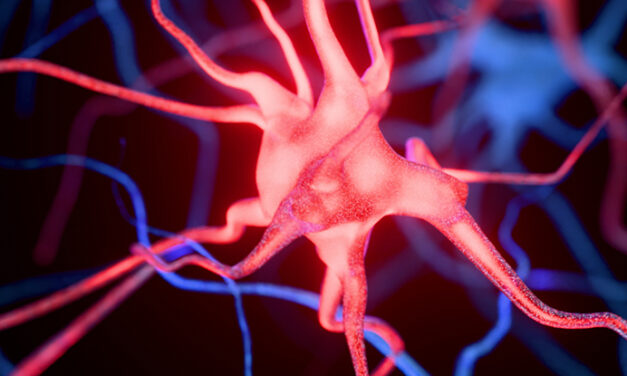 Microplastics Linked to Worsening Alzheimer’s Symptoms in Mice