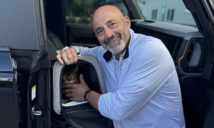 Microchip shows stray cat was 900 miles from home