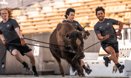 Colorado to debut new live buffalo mascot against Wyoming