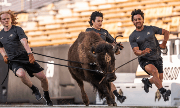 Colorado to debut new live buffalo mascot against Wyoming