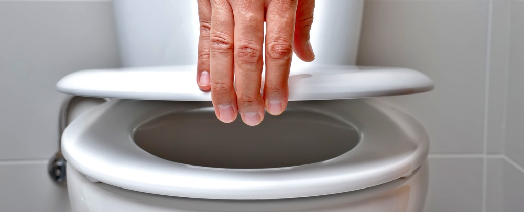 The Truth About Public Toilets, According to Science