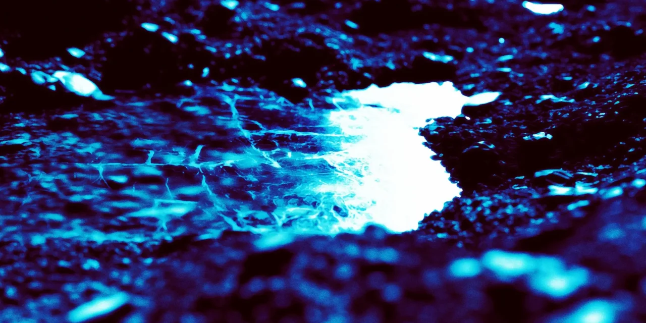Scientists Find Evidence of Flowing Water on Giant Asteroid