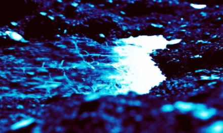 Scientists Find Evidence of Flowing Water on Giant Asteroid