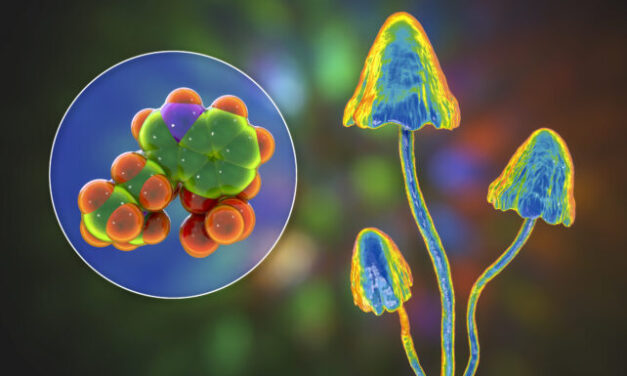 Psychedelics Could Be a Powerful Tool to Control The Immune System