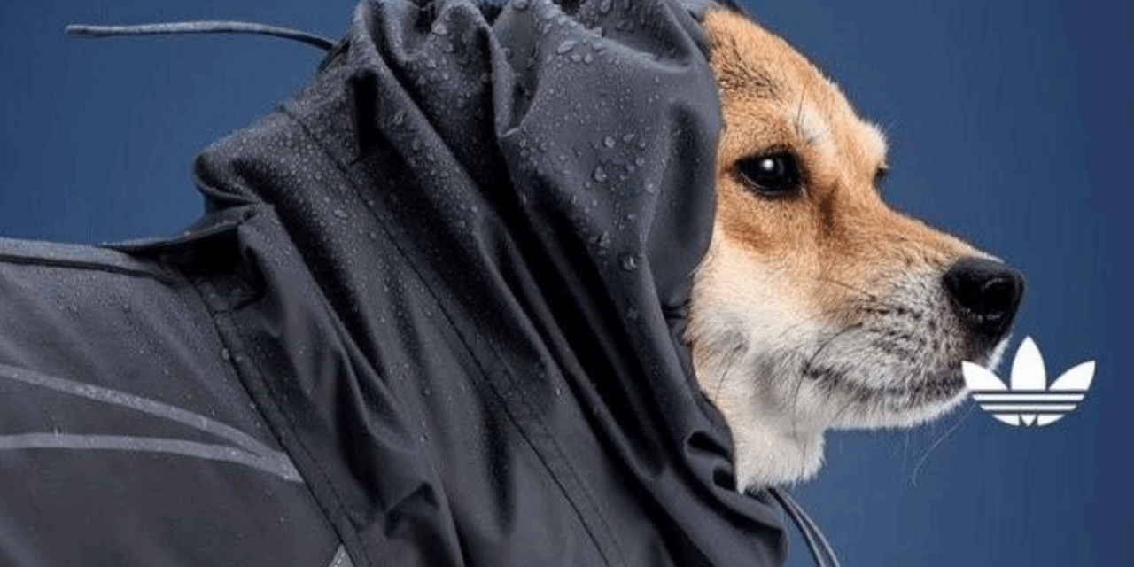 Adidas China Launches Clothing Collection for Small Pets