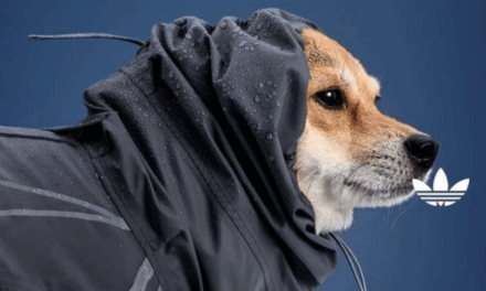 Adidas China Launches Clothing Collection for Small Pets