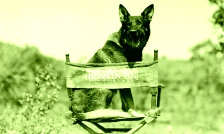 AI Is Even Putting Animal Actors Out of Work